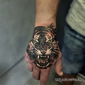 Tatuaż Tygrys na dłonie na dłoni motyw: zwierzęta styl: realistyczne