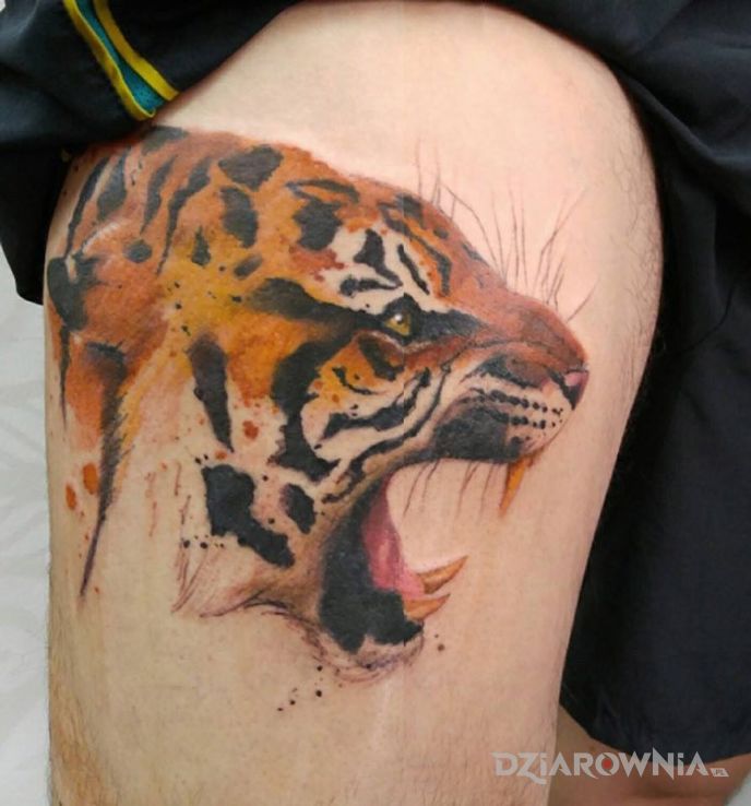 Tatuaż tygrys w motywie zwierzęta na nodze