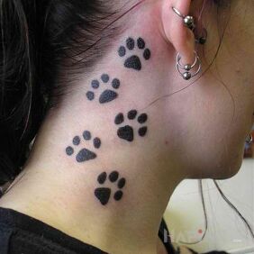 Tattoo Paws behind the ear motif: other