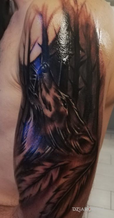 Tatuaż wilk w motywie zwierzęta i stylu realistyczne na ramieniu