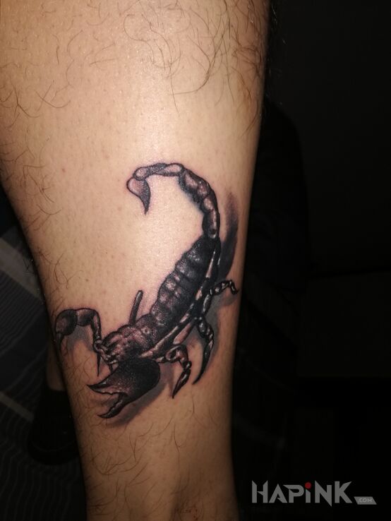 Tattoo Skorpion in zodiac signs motif and realistic style on the calf