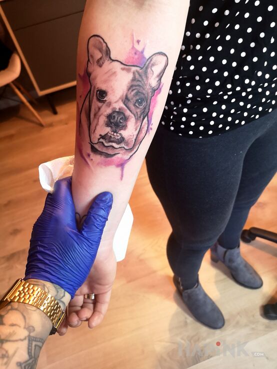 Tattoo Pieseł in colorful motif and Watercolor style on the forearm