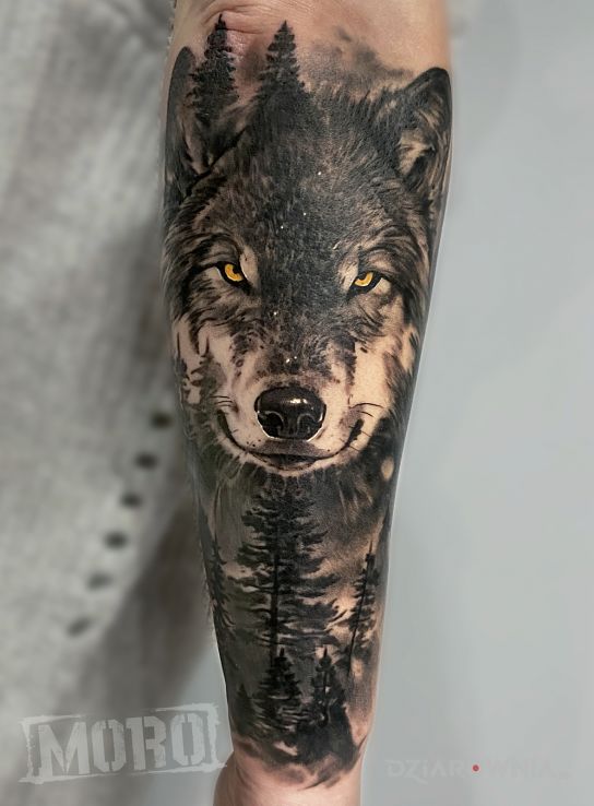 Tatuaż wilk z lasem w motywie czarno-szare i stylu realistyczne na przedramieniu