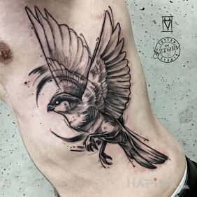 Tattoo Fly high on the ribs motif: wings style: sketch