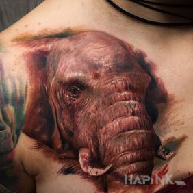 Tattoo Elephant on the chest motif: animals style: realistic