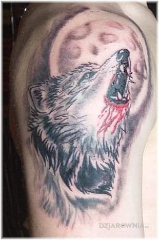 Tatuaż wilczek w motywie czarno-szare i stylu graficzne / ilustracyjne na ramieniu