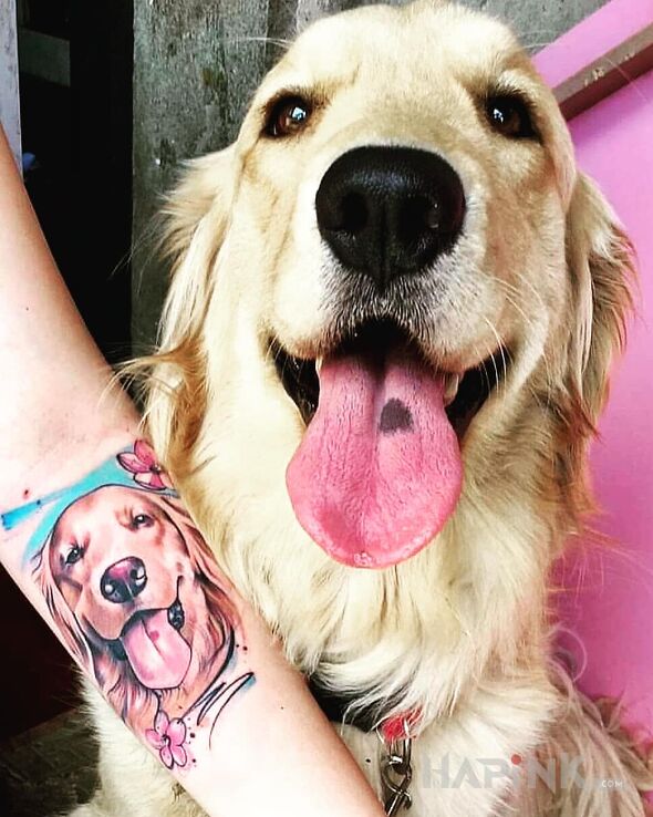 Tattoo Piesio in animals motif and graphic / illustrative style on the forearm