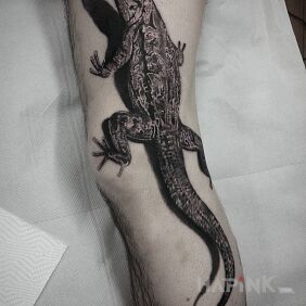 Tattoo Lizard on the leg motif: animals