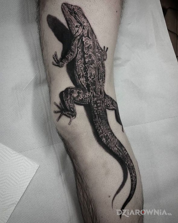 Tatuaż jaszczurka w motywie 3D na nodze