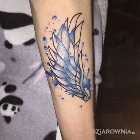Tatuaż Skrzydło z plamą na przedramieniu motyw: kolorowe styl: watercolor