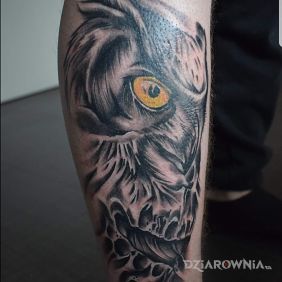 Tatuaż Sówka na łydce motyw: czarno-szare styl: realistyczne