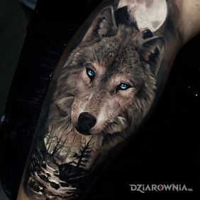 Tatuaż Wilczek na łydce motyw: czarno-szare styl: realistyczne