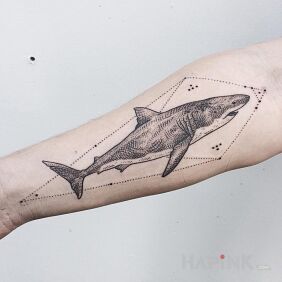 Tattoo Shark on the forearm motif: animals