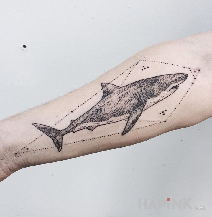 Tattoo Rekin in animals motif on the forearm