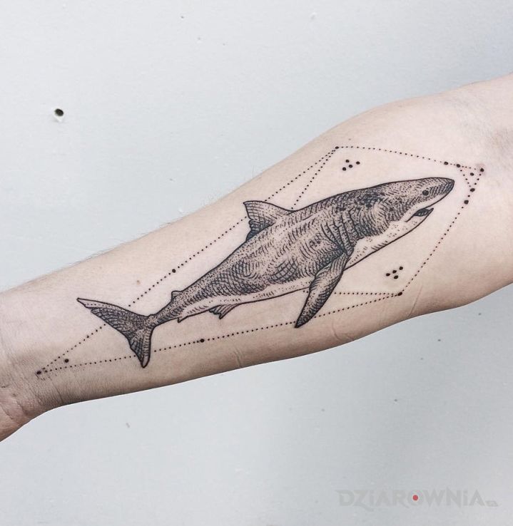 Tatuaż rekin w motywie zwierzęta na przedramieniu
