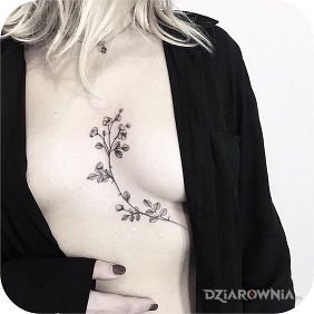 Tatuaż Gałązka na brzuchu motyw: kwiaty styl: graficzne / ilustracyjne