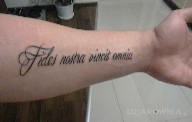 Tatuaż fides nostra vinci omnia w motywie napisy na przedramieniu