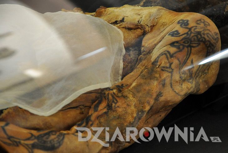 Tatuaże plemienne na starej mumii