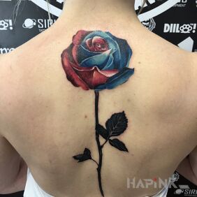 Tattoo Rose on the back motif: colorful style: graphic / illustrative