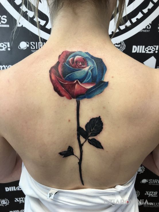 Tatuaż rose w motywie kwiaty i stylu graficzne / ilustracyjne na plecach