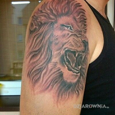 Tatuaż lew w motywie zwierzęta na ramieniu