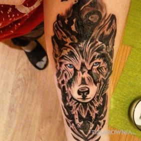 Tatuaż Wilk tattoo na przedramieniu motyw: czarno-szare styl: graficzne / ilustracyjne