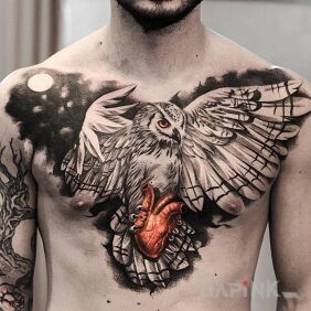 Tattoo Owl on the chest motif: animals