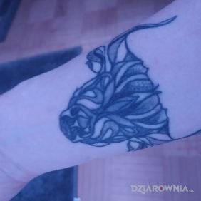 Tatuaż Byk na przedramieniu motyw: znaki zodiaku styl: graficzne / ilustracyjne