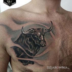 Tatuaż Byk na klatce motyw: czarno-szare styl: realistyczne