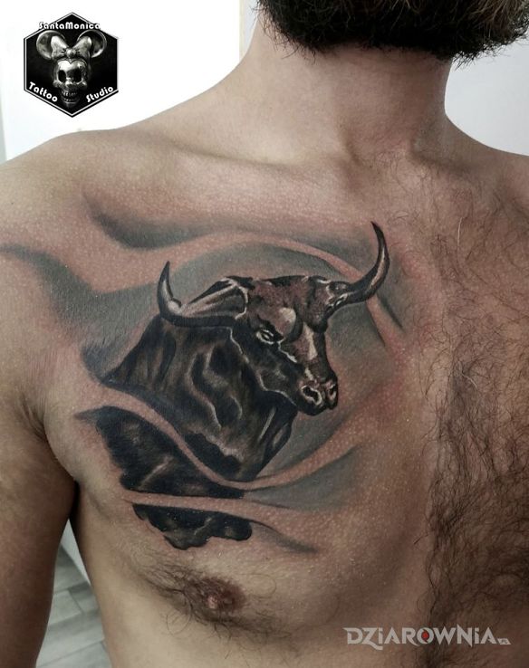 Tatuaż byk w motywie czarno-szare i stylu realistyczne na klatce
