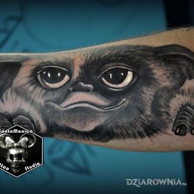 Tatuaż Gizmo na przedramieniu motyw: czarno-szare styl: realistyczne