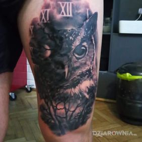 Tatuaż Sowa/zegar na nodze motyw: czarno-szare styl: realistyczne