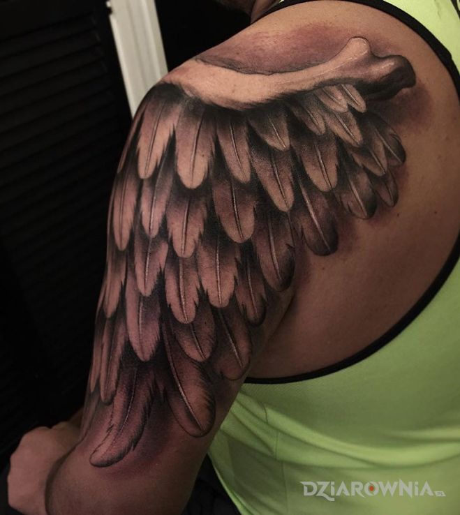Tatuaż skrzydło w motywie pozostałe na ramieniu