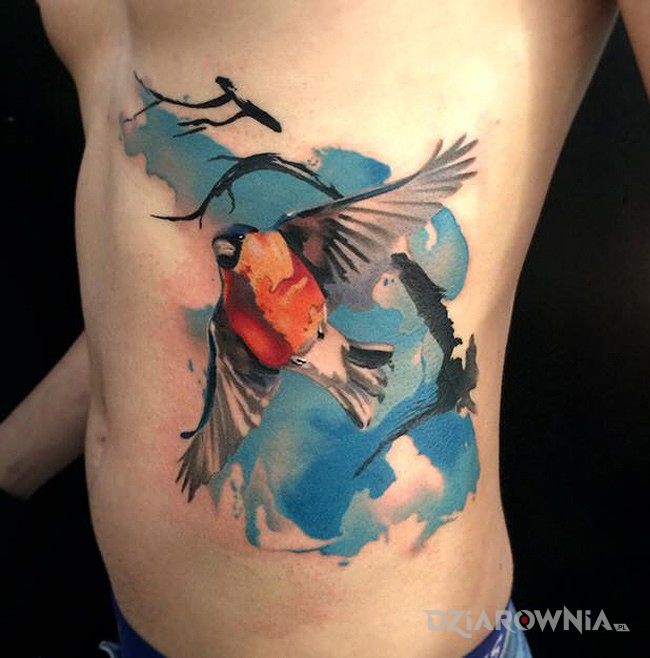 Tatuaż ptak w kolorze w motywie zwierzęta na żebrach