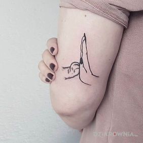 Tatuaż Kocica na ramieniu motyw: pozostałe styl: kontury / linework