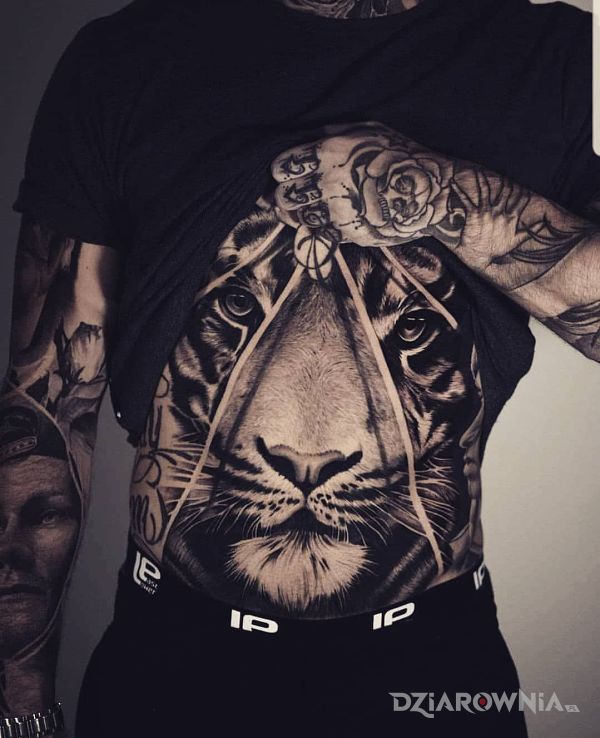 Tatuaż spokojny tygrys w motywie czarno-szare i stylu realistyczne na brzuchu