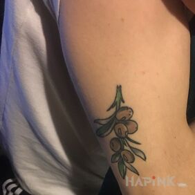 Tattoo Olives on the upper arm motif: flowers style: graphic / illustrative