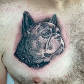 Tattoo Beloved pet on the chest motif: 3D style: realistic