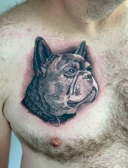 Tattoo Ukochane zwierzątko in black and gray motif and realistic style on the chest