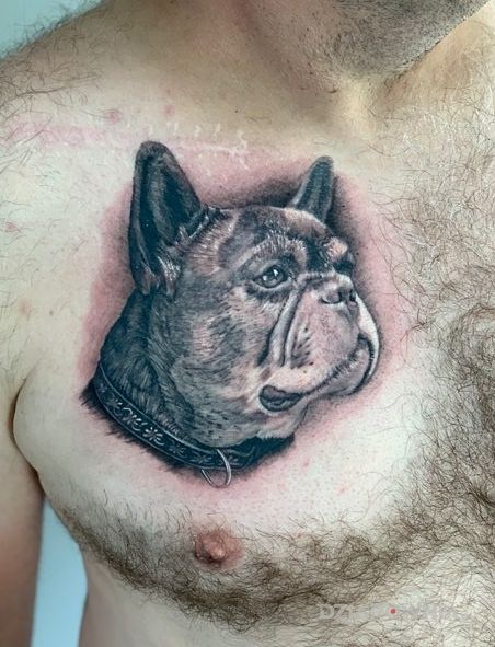 Tatuaż ukochane zwierzątko w motywie zwierzęta i stylu realistyczne na klatce