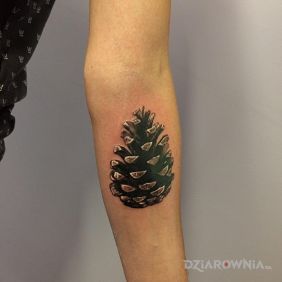 Tatuaż Sysunia ;) na przedramieniu motyw: czarno-szare styl: realistyczne