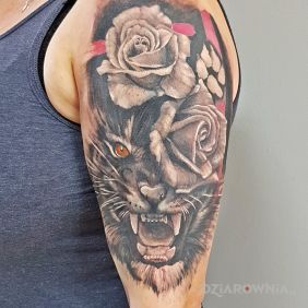 Tatuaż Tygrysek na ramieniu motyw: czarno-szare styl: realistyczne