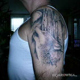 Tatuaż Basior na ramieniu motyw: zwierzęta