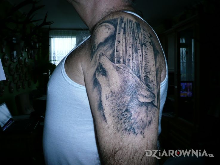 Tatuaż basior w motywie zwierzęta na ramieniu