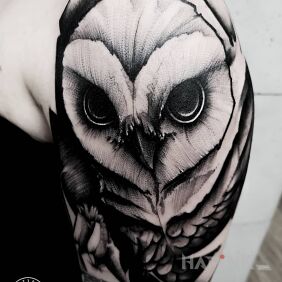 Tattoo Bird on the upper arm motif: black and gray style: sketch
