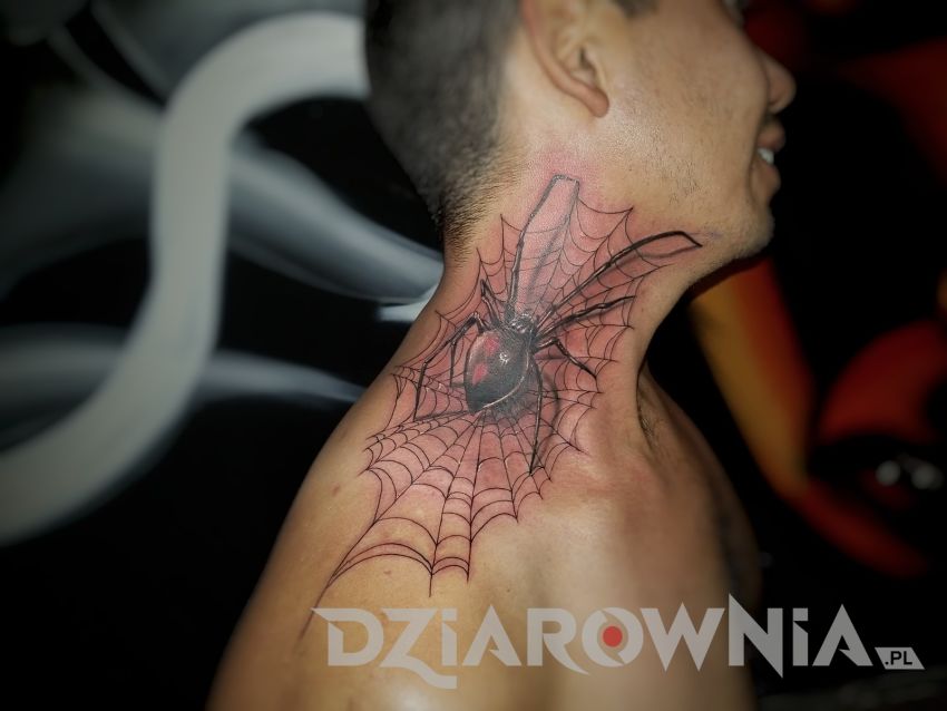 Spider tattoo 6