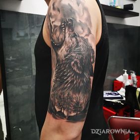 Tatuaż Wilk na ramieniu motyw: zwierzęta styl: realistyczne