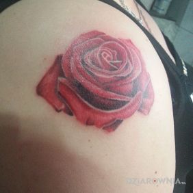 Tatuaż 1-go Maja 8a  tel 534215004 www.facebook.com/studioshadowzone na ramieniu motyw: kwiaty