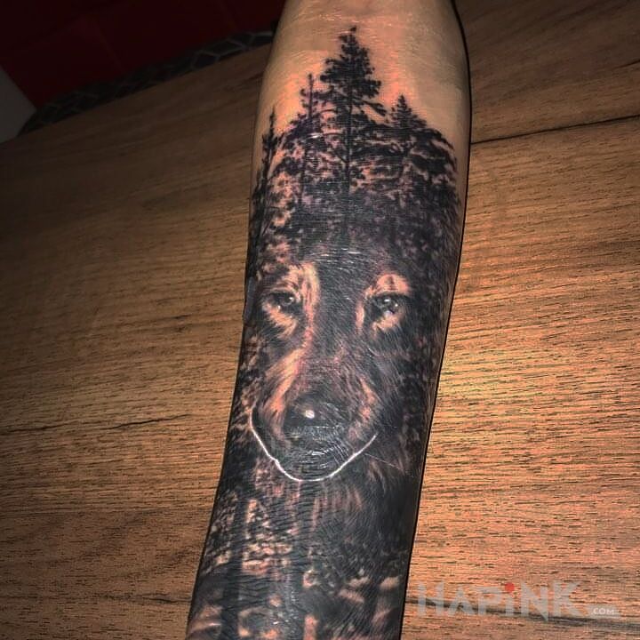 Tattoo Zabłąkany wilk in animals motif and realistic style on the forearm