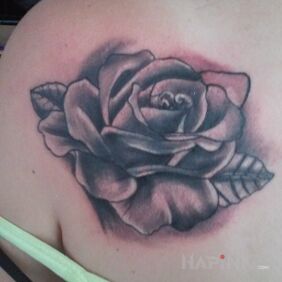 Tattoo Rose ( cover) on the shoulder blades motif: flowers style: graphic / illustrative